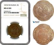 3 kopecks 1876 year