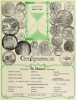 Coinns & Antiquities, каталог лотов, результаты торгов