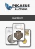 Pegasus Auctions AB, каталог лотов, результаты торгов