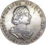 Poltina 1724 year