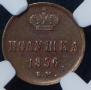 Polushka 1856 year