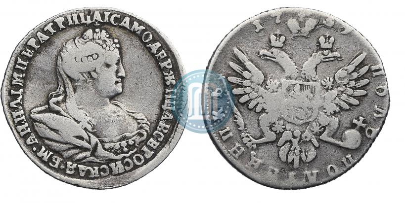 Picture Polupoltinnik 1739 year  