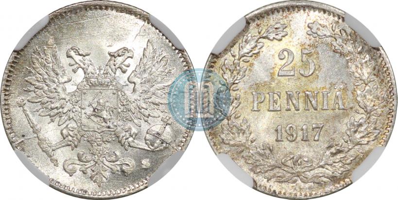 Picture 25 pennia 1917 year S 