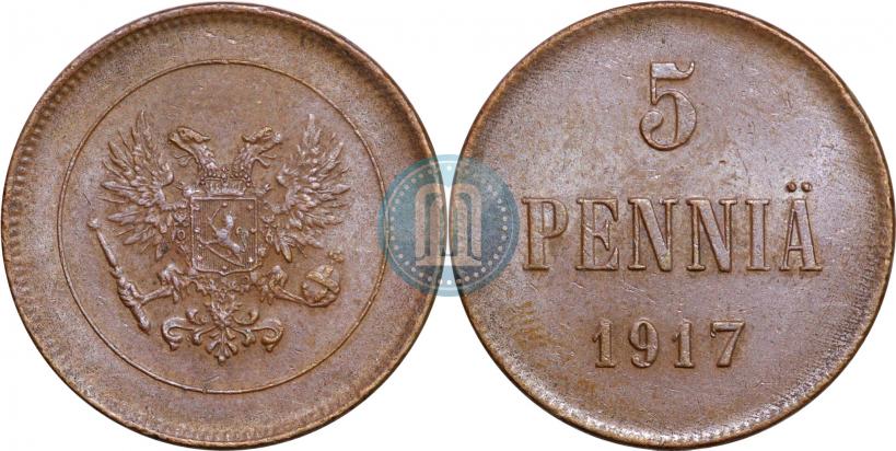 Picture 5 pennia 1917 year  