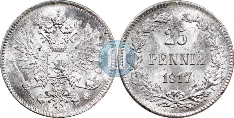 Picture 25 pennia 1917 year S 