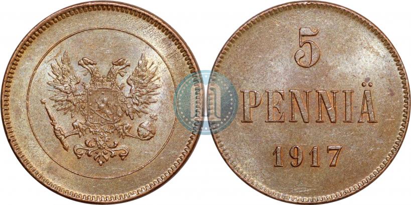 Picture 5 pennia 1917 year  