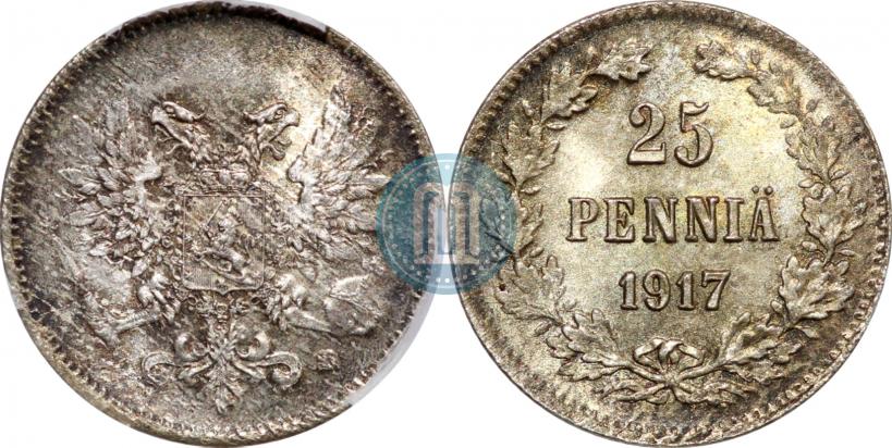 Picture 25 pennia 1917 year S 