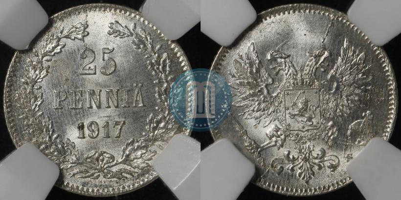 Picture 25 pennia 1917 year S 